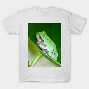 Tree Frog Love T-Shirt